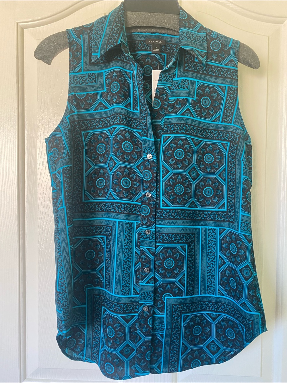 Ann Taylor Teal and Black Sleeveless Button-Up Blouse